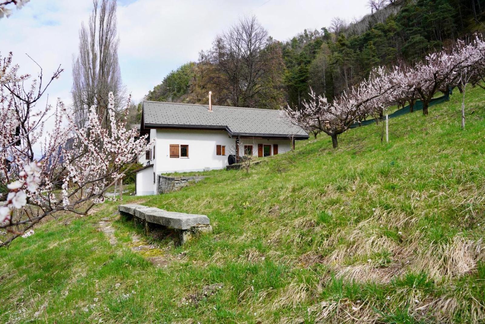 Maisonnette De Campagne Sion Eksteriør bilde